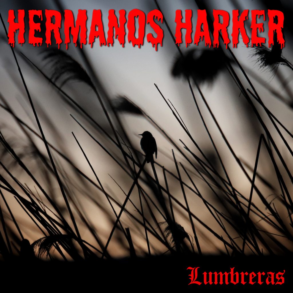 HERMANOS HARKER - LUMBRERAS