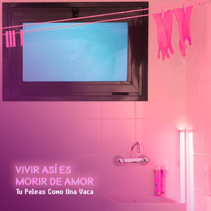 tu peleas como una vaca jpg