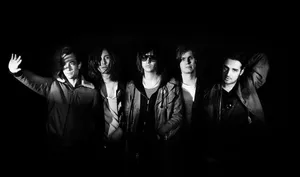 the strokes